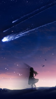 небо звезды ночь девушка