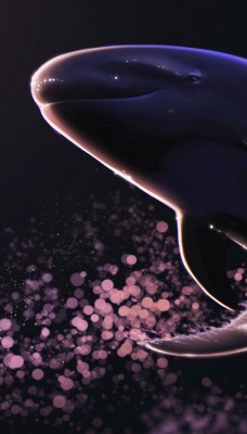 кит рисунок частицы
