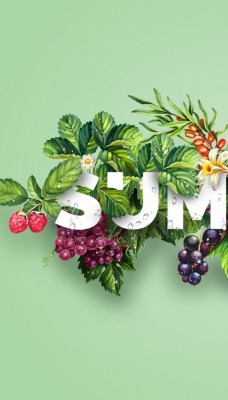 ягоды кусты summer надпись минимализм