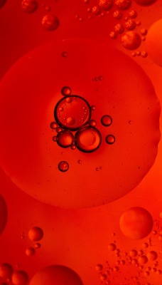 красный пузыри шары под микроскопом