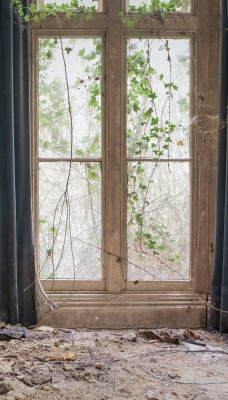 Окно шторы старый дом