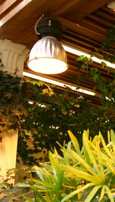 лампа терасса растения