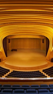 интерьер концертный зал деревянный