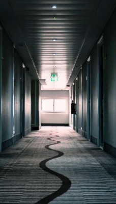 коридор здание двери ковер