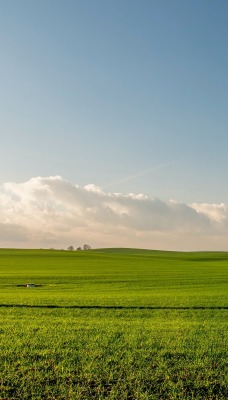 поле трава горизонт облака