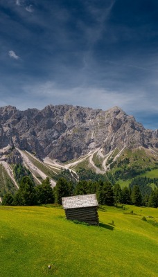 швейцария горы холмы луга