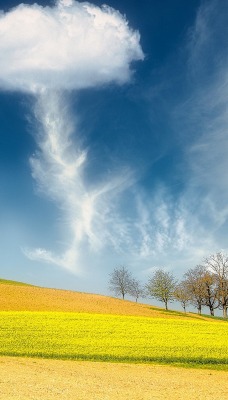 лето поле холм облака