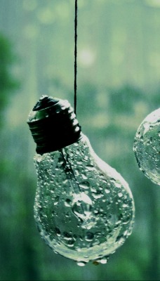 Лампочки на дожде