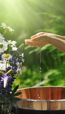 девочка лето вода цветы полевые