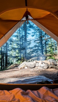 палатка отдых лес