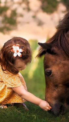 девочка лошадь лужайка