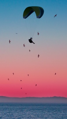парашют на закате силуэт море птицы