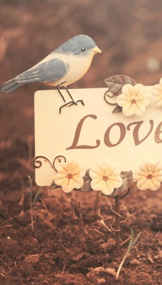 Птичка, табличка, любовь
