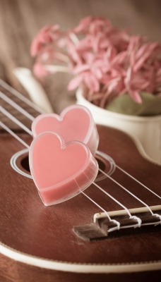 Гитара сердца