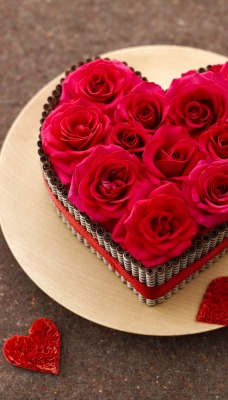 любовь розы сердце love rose heart