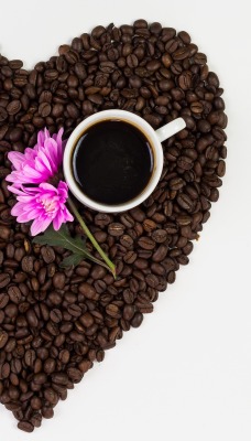сердце кофе зерна чашка цветок белый фон