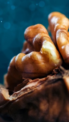 грецкие орехи ядра макро