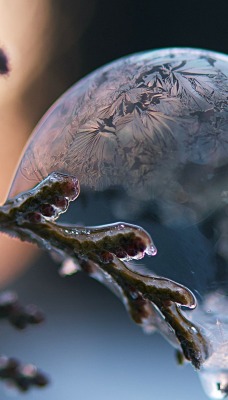 мыльный пузырь мороз ветки