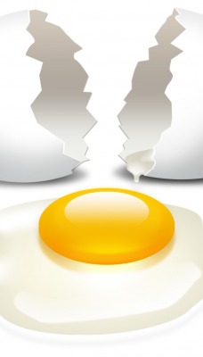 яйцо желток скорлупа egg the yolk shell