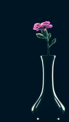 цветок ваза минимализм