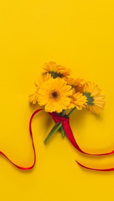 минимализм цветы лента желтый фон