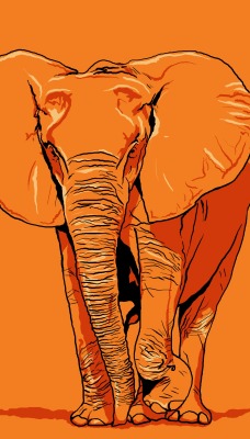 слон минимализм линии рисунок
