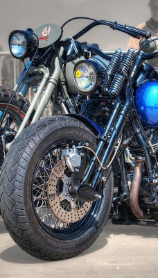 Harley davidson bike motorcycle