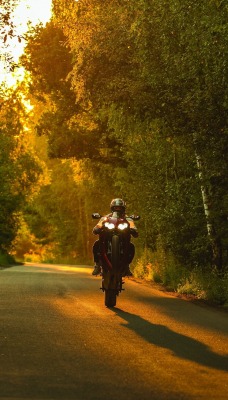 мотоцикл лес дорога закат