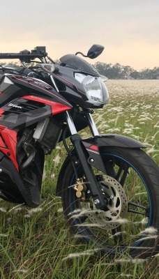 мотоцикл поле в траве