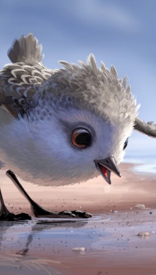 мультфильмы птицы piper pixar