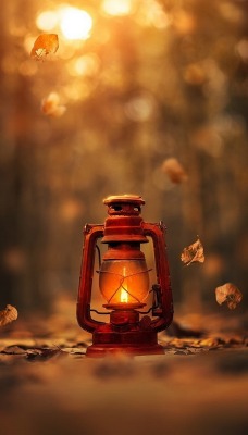 лампа осень лес листья