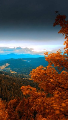 склон гора высота осень листья