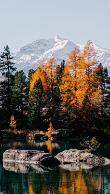 озеро водоем деревья осень горы