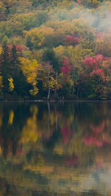 осень листва деревья озеро отражение в воде