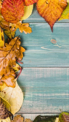 фотофон осенний осенние листья доски