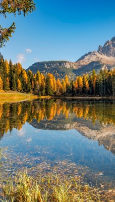 осень горы озеро деревья
