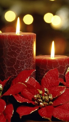 красные свечи рождество праздник
