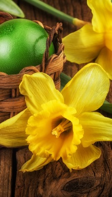 яйца пасхальные корзина цветы