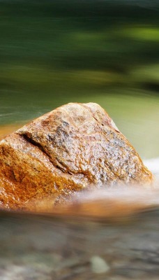 Камень в бурной речке