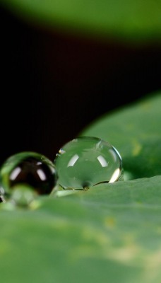 Капли воды