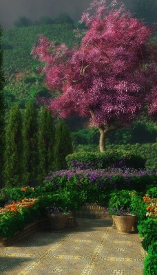 Сад с розовым деревом