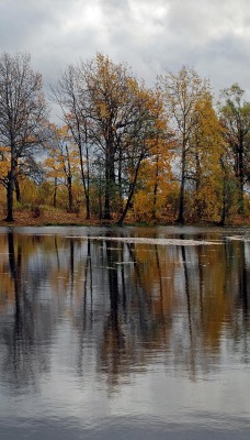 Осенний водоем