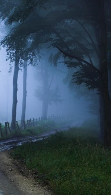 Проселочная дорога в туман