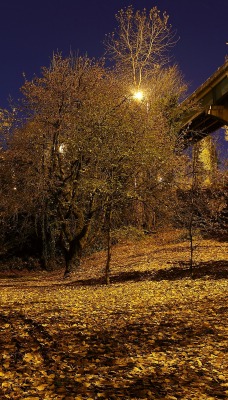 Ночью под мостом