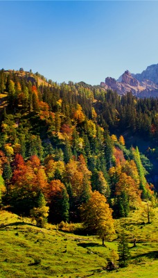 Осенний горный склон