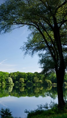 Озеро, деревья, небо, день