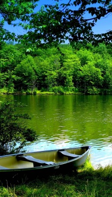 Лодка на берегу зеленого озера