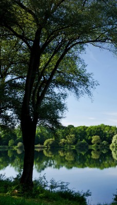 Синее озеро, небо, зелень, деревья