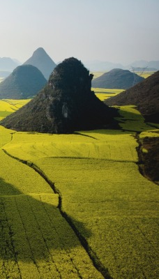 Желтые поля между гор