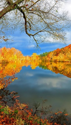 Осень над озером